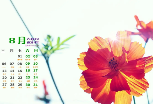 1688743042816312.png image.png