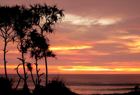 1688706704762092.png image.png