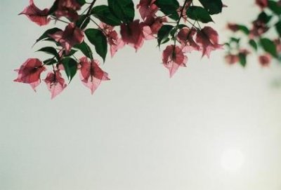 ​表示离别的名言警句（关于告别的名人名言）