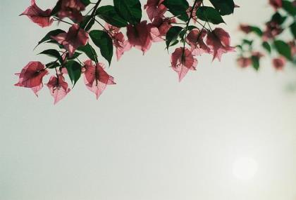 关于告别的名人名言