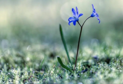 ​关于孝的诗句有哪些（关于孝心的古诗千古绝句）