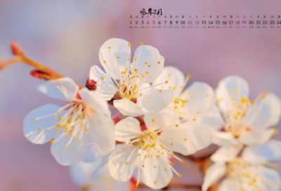 ​小儿垂钓古诗解释简单（小儿垂钓唐胡令能古诗赏析）