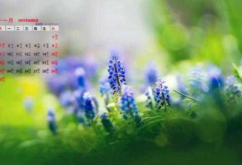 1688742376124568.png image.png