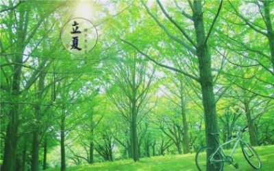 ​学校图书馆标语大全[36条]