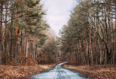 ​灾后卫生防病宣传标语