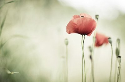 ​教师办公室名人名言100句