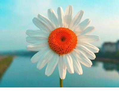 5条防诈骗宣传标语