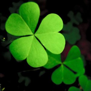 ​陕西一高校食堂设最低消费一（为学校食堂写标语）