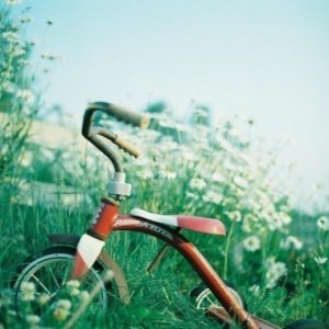 ​有关英勇坚强的名言[32条] (因为每个人在自己的心中都是天使…)