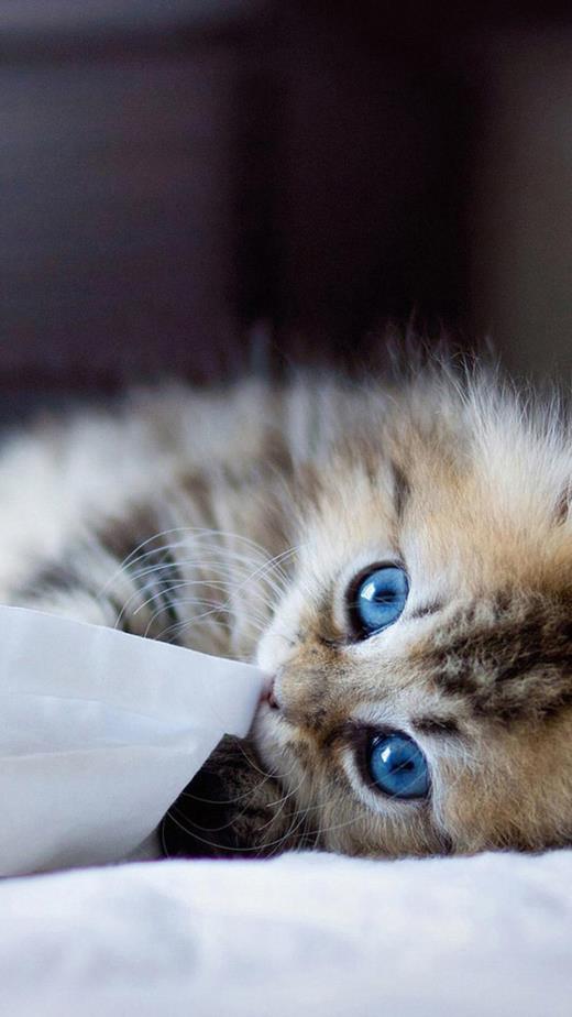 关于拼搏奋斗的名言名句