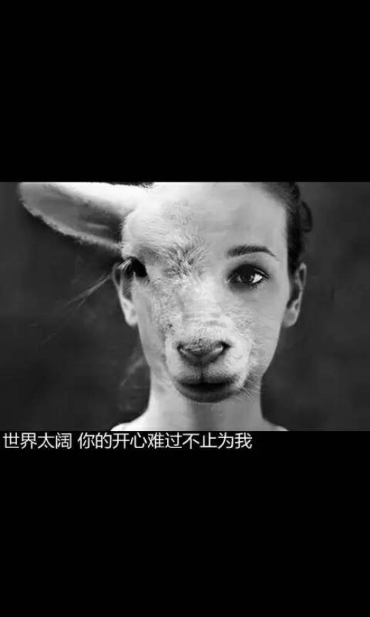 努力上进的名言警句