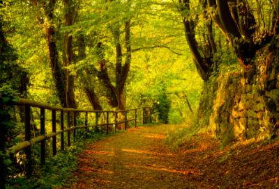 ​学校体育运动标语