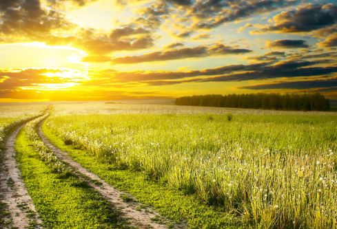 1688695388109782.png image.png