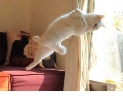 亲情的名人名言大全