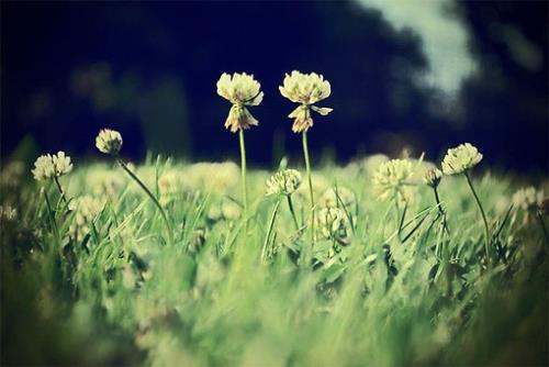 激励你一生的成功格言1