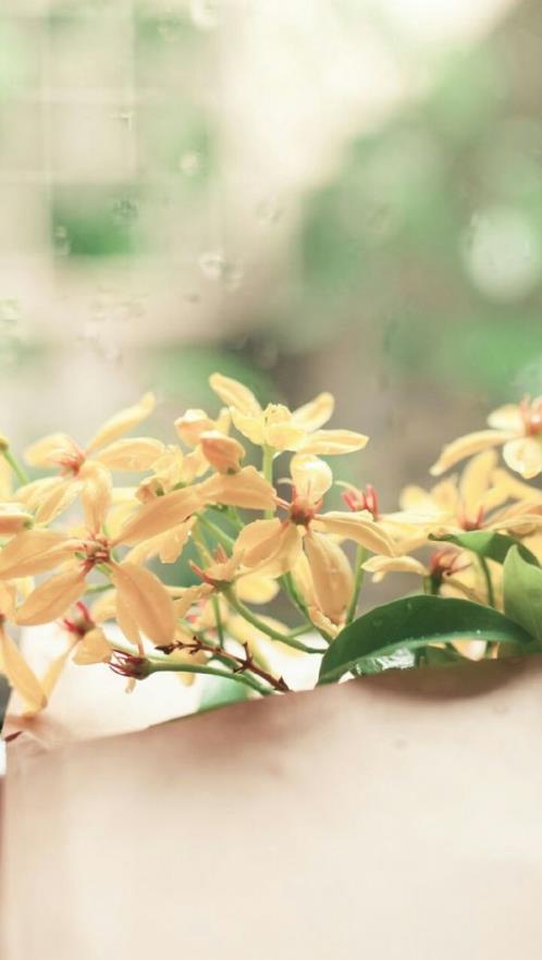 读书名言大全摘抄 关于读书的名言有哪些