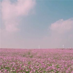 ​激励人成长的名言警句（激励年轻人的句子）