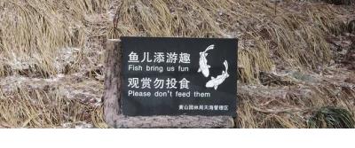 精选的小学教育格言大全