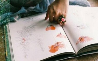 ​坚强名言警句带作者和出处[20条] (名人名言大全摘抄)