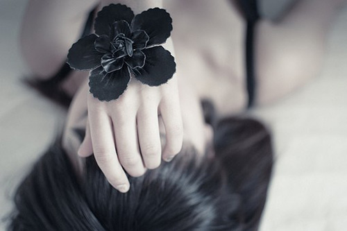 2024世界野生动植物日宣传标语(为冬奥会写宣传标语)