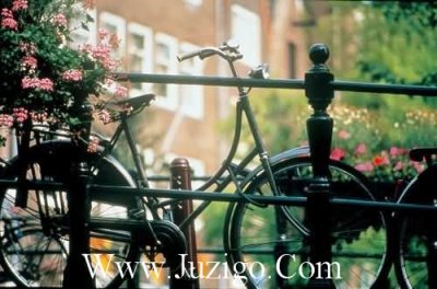 ​精选的关于坚强的名言警句大全(坚强名言警句大全)