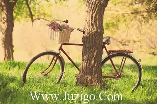 最新的关于时间的读书名言大全(关于时间的名言)