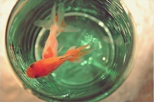 改变环境成就人生名言