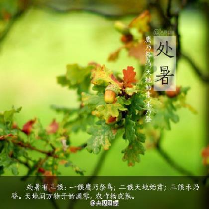 安全行车标语三句言