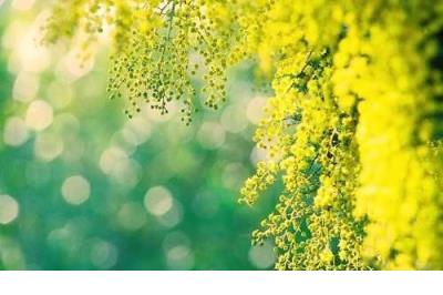 安全行车标语三句言