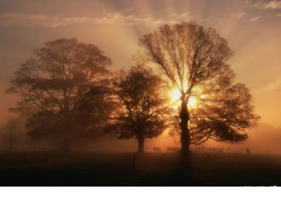 庄子名言什么止止