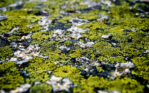 资源之家(风景壁纸) (192).jpg