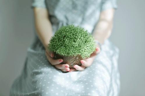 关于礼仪礼节的名言(礼仪的古今名言警句)