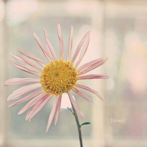 安全质量四字标语