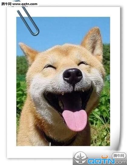 全面二孩宣传标语