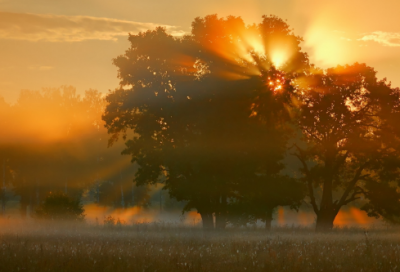 ​最新关于世界环境日宣传标语