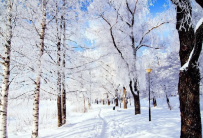 ​保护黄河的宣传语