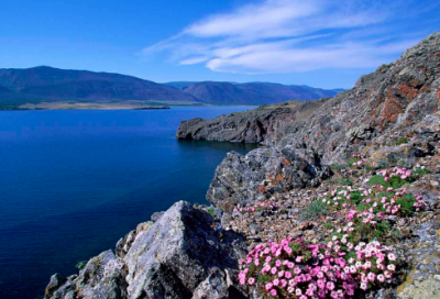 ​夏令营宣传标语