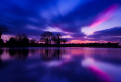 ​植树节活动标语 植树节活动主题标语(精选30句)