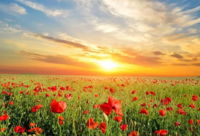 ​企业生产安全标语大全(精选29句)