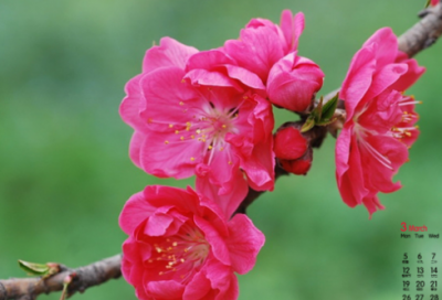 ​体育运动宣传标语口号 幼儿园大班运动会口号