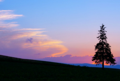 ​学校防火宣传标语 学校森林防火标语