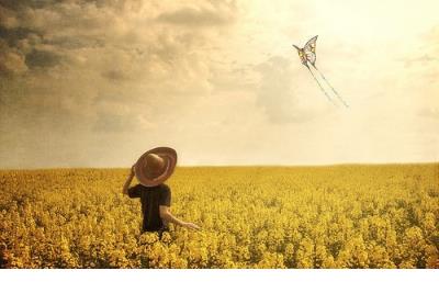 环保标语蓝天动物