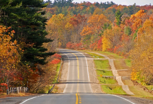 1688628269646595.png image.png