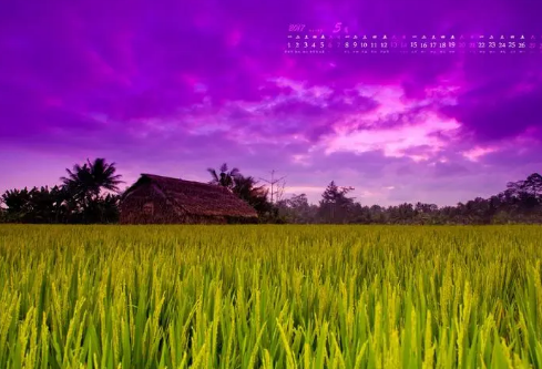 1684499531707657.png image.png