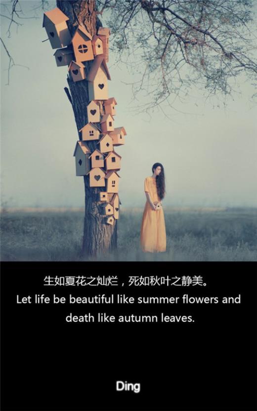 安全行车标语大全