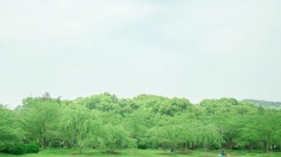 ​企业文化标语口号 抗疫情的加油口号