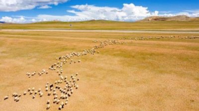 ​学校门口奶茶店标语(带上你的梦想跟我来…)