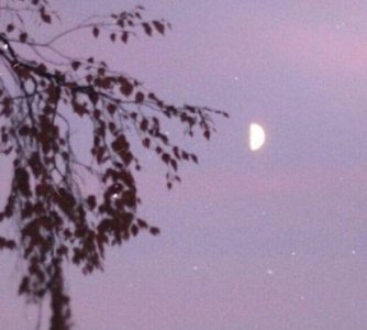 ​金融团队口号