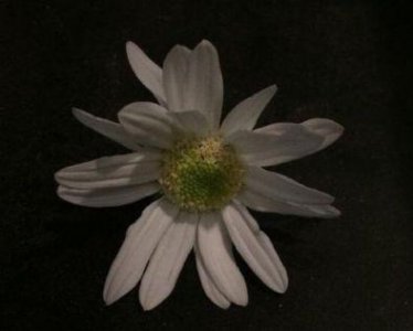 ​早晨的阳光的名言(精选67句)