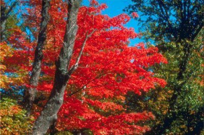 ​2025热烈庆祝中华人民共和国成立70周年宣传标语口号(精选67句)